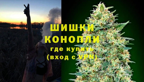 СК Вяземский