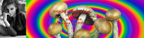 гидропоника Волоколамск