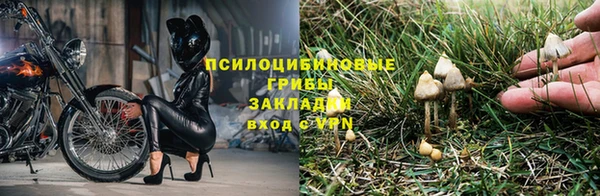 гидропоника Волоколамск