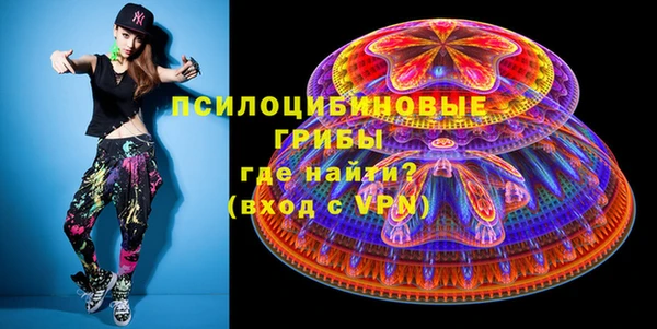 ПСИЛОЦИБИНОВЫЕ ГРИБЫ Верхний Тагил